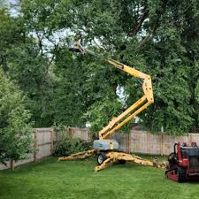 Best Tree Health Inspection  in Leavittsburg, OH